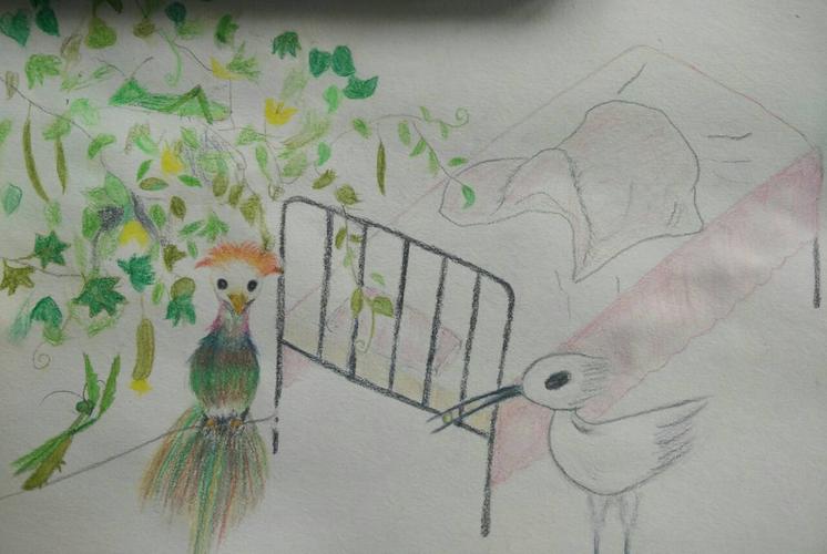 文艺才华就像孔雀尾羽创作为了满足虚荣心